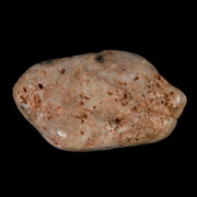 Gastrolites - Gastrolith Stomach Stones For Sale - Fossil Age Minerals