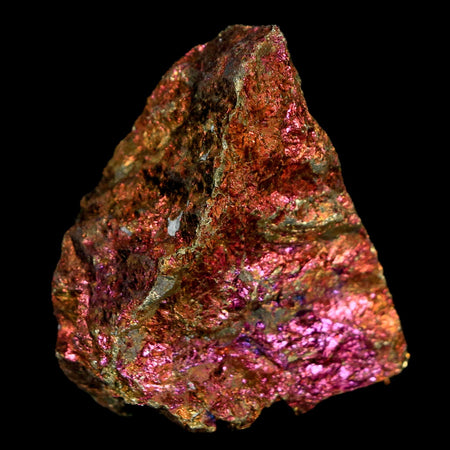 1.7" Chalcopyrite Bornite Brilliant Multicolored Peacock Ore Chihuahua Mexico