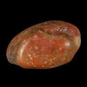 Gastrolites - Gastrolith Stomach Stones For Sale - Fossil Age Minerals