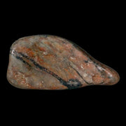 Gastrolites - Gastrolith Stomach Stones For Sale - Fossil Age Minerals