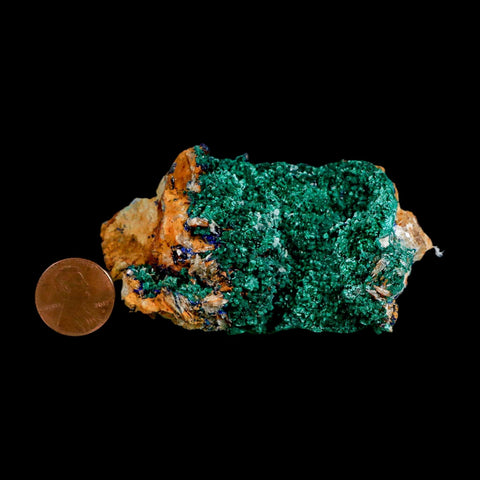 3.1" Dark Green Malachite Crystal Mineral Specimen Tiznit Province Morocco - Fossil Age Minerals
