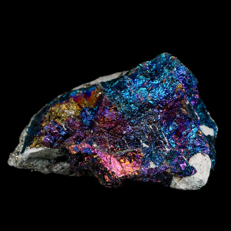 2.3" Chalcopyrite Bornite Brilliant Multicolored Peacock Ore Chihuahua Mexico
