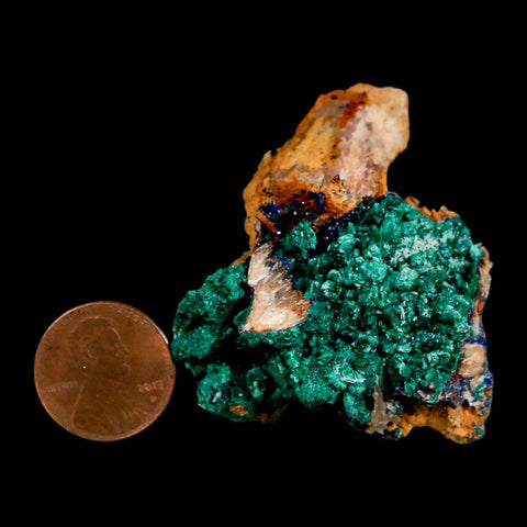 2" Dark Green Malachite Crystal Mineral Specimen Tiznit Province Morocco - Fossil Age Minerals
