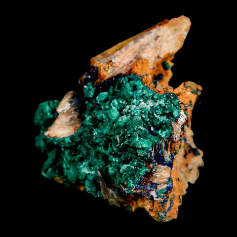2" Dark Green Malachite Crystal Mineral Specimen Tiznit Province Morocco - Fossil Age Minerals