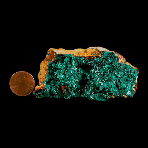 3" Dark Green Malachite Crystal Mineral Specimen On Rock Tiznit Province Morocco - Fossil Age Minerals