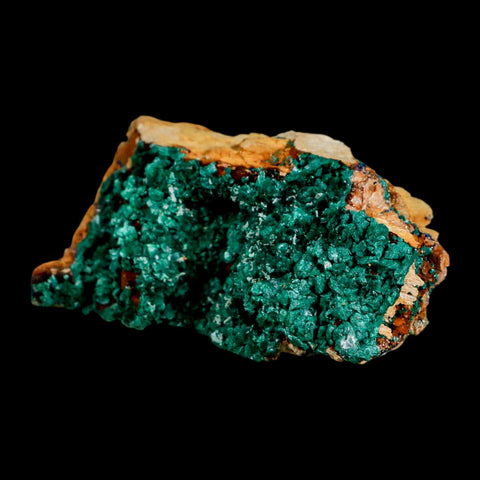 3" Dark Green Malachite Crystal Mineral Specimen On Rock Tiznit Province Morocco - Fossil Age Minerals