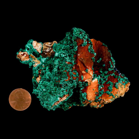 3.8" Dark Green Malachite Crystal Mineral Specimen On Rock Tiznit Province Morocco - Fossil Age Minerals