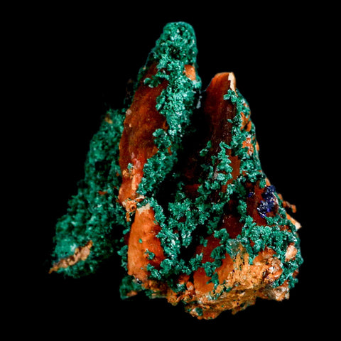 3.8" Dark Green Malachite Crystal Mineral Specimen On Rock Tiznit Province Morocco - Fossil Age Minerals