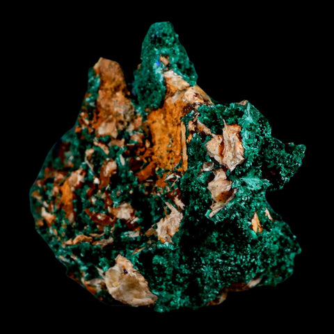 3.8" Dark Green Malachite Crystal Mineral Specimen On Rock Tiznit Province Morocco - Fossil Age Minerals