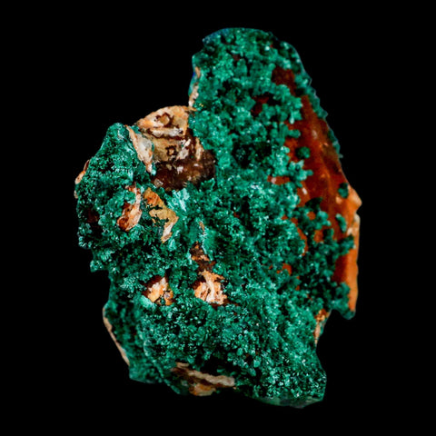 3.8" Dark Green Malachite Crystal Mineral Specimen On Rock Tiznit Province Morocco - Fossil Age Minerals