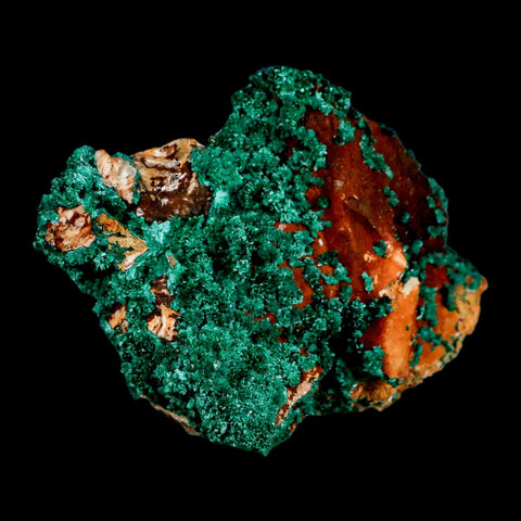 3.8" Dark Green Malachite Crystal Mineral Specimen On Rock Tiznit Province Morocco - Fossil Age Minerals