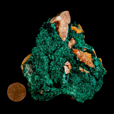 3.5" Dark Green Malachite Crystal Mineral Specimen On Rock Tiznit Province Morocco - Fossil Age Minerals