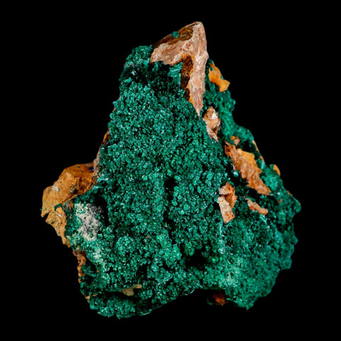 3.5" Dark Green Malachite Crystal Mineral Specimen On Rock Tiznit Province Morocco - Fossil Age Minerals