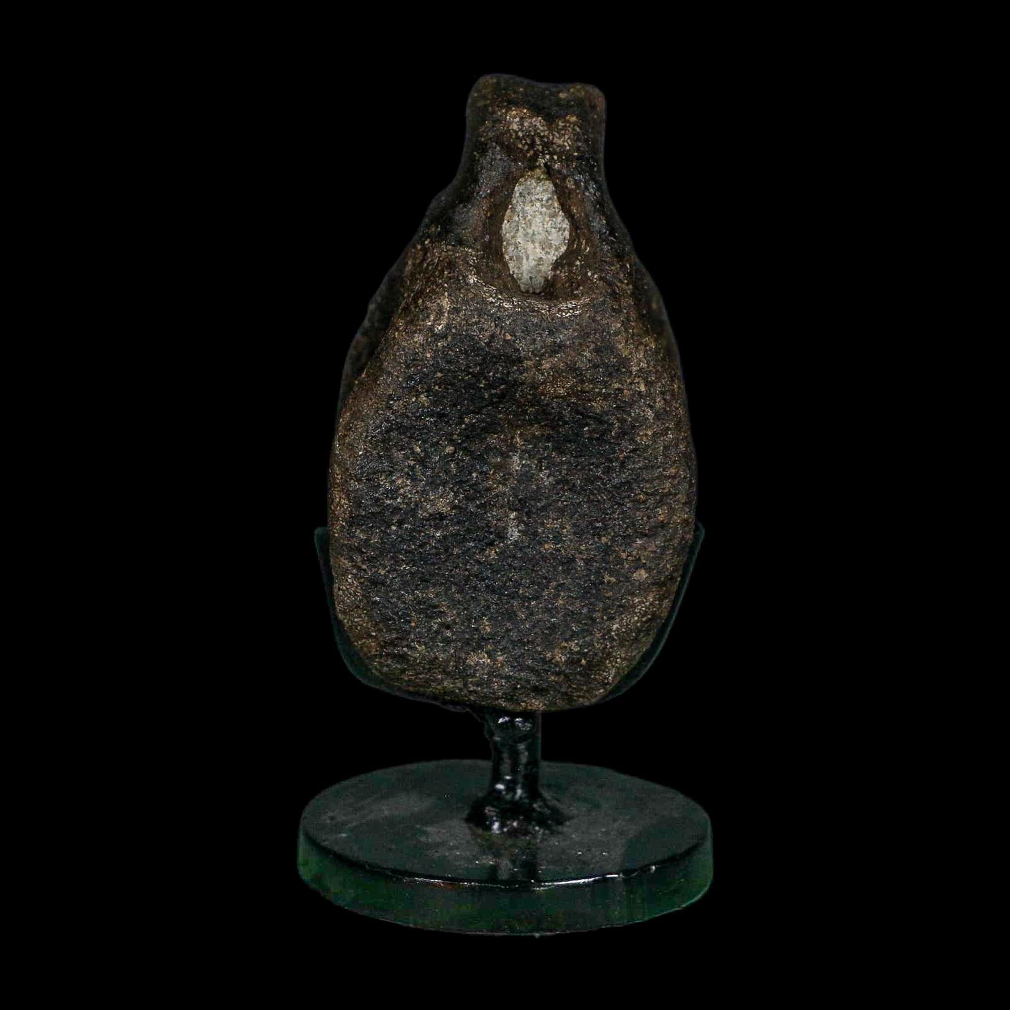 2.6" Hypacrosaurus Dinosaur Fossil Vertebrae Bone Two Medicine FM MT COA Stand - Fossil Age Minerals