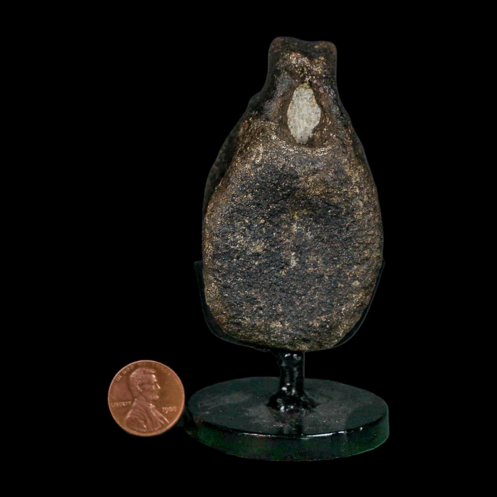 2.6" Hypacrosaurus Dinosaur Fossil Vertebrae Bone Two Medicine FM MT COA Stand - Fossil Age Minerals