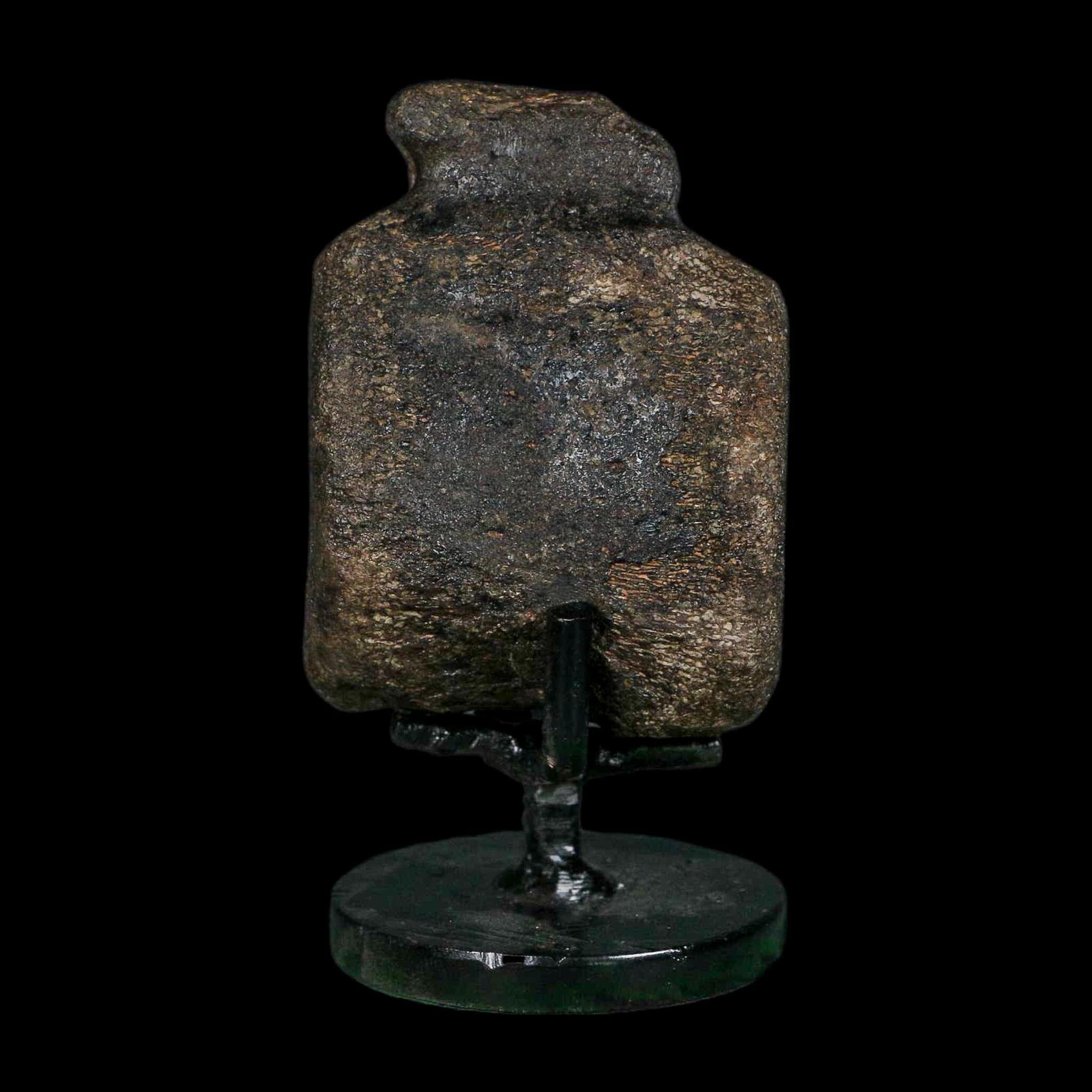 2.6" Hypacrosaurus Dinosaur Fossil Vertebrae Bone Two Medicine FM MT COA Stand - Fossil Age Minerals