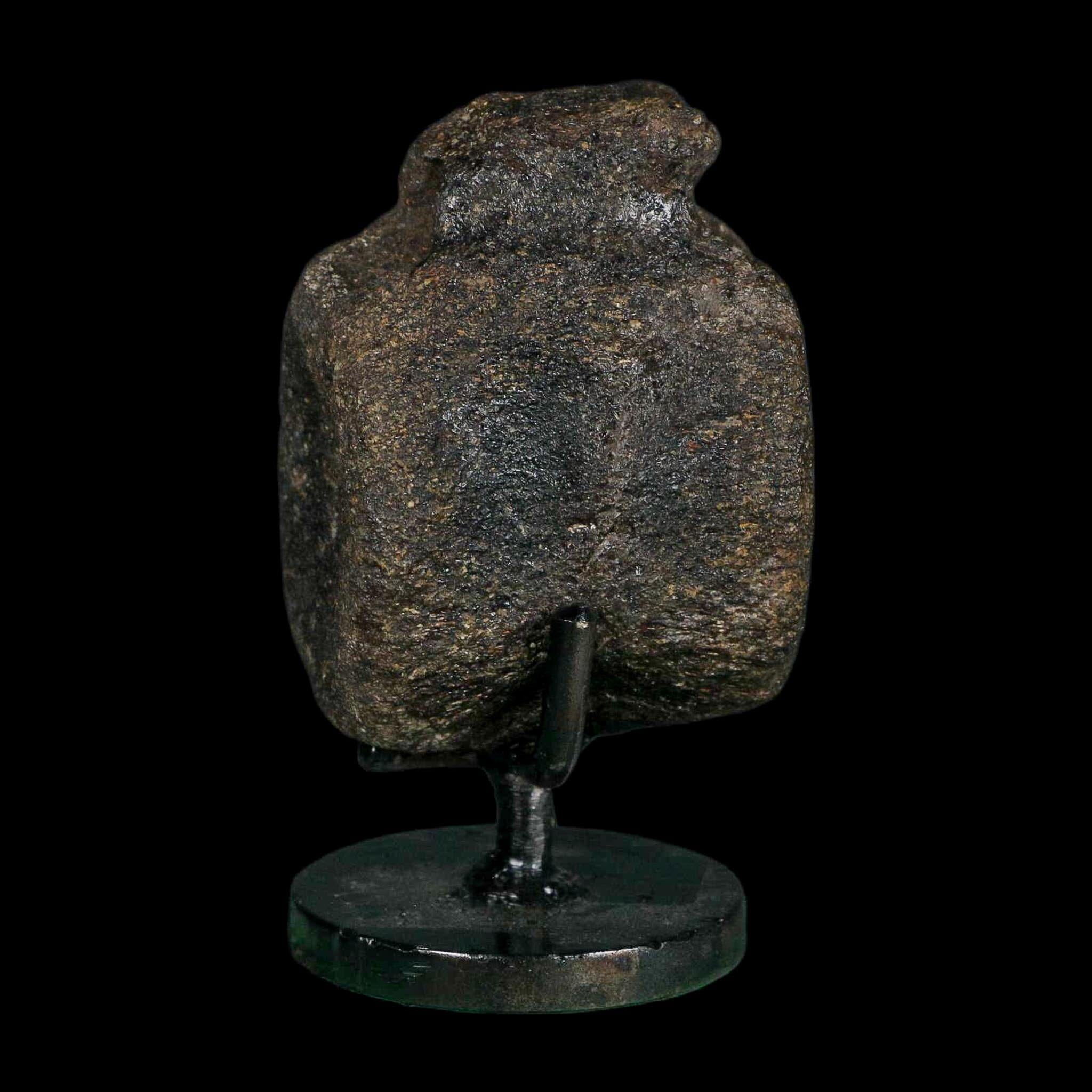 2.6" Hypacrosaurus Dinosaur Fossil Vertebrae Bone Two Medicine FM MT COA Stand - Fossil Age Minerals
