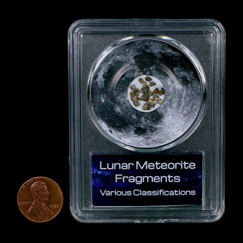 Moon Rock Lunar Meteorite Fragments Various Classifications Outer Space COA