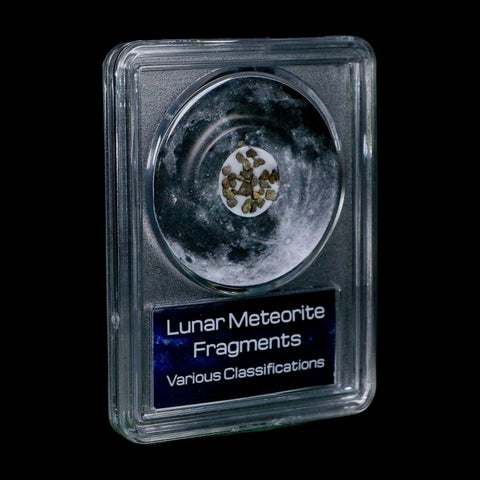 Moon Rock Lunar Meteorite Fragments Various Classifications Outer Space COA