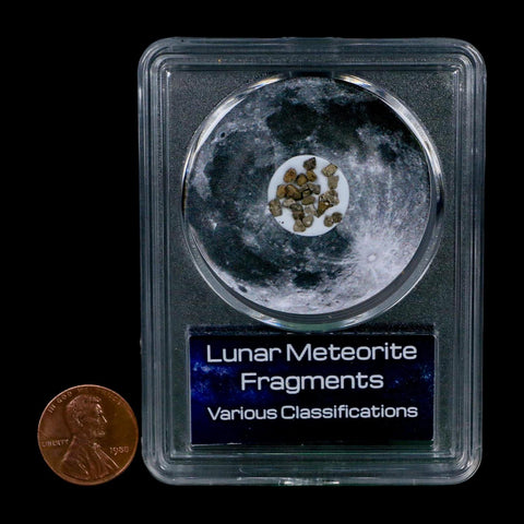 Moon Rock Lunar Meteorite Fragments Various Classifications Outer Space COA