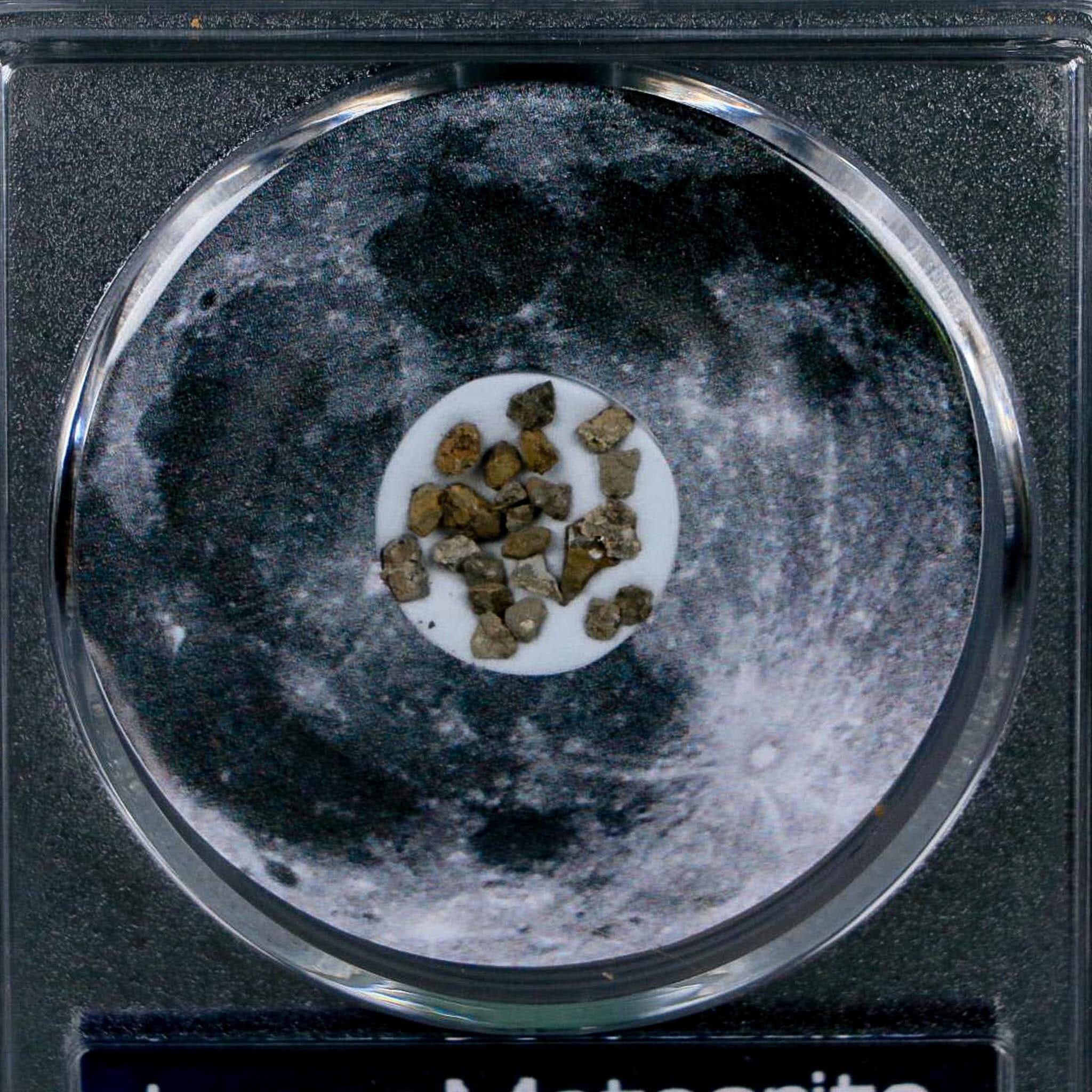 Moon Rock Lunar Meteorite Fragments Various Classifications Outer Space COA - Fossil Age Minerals