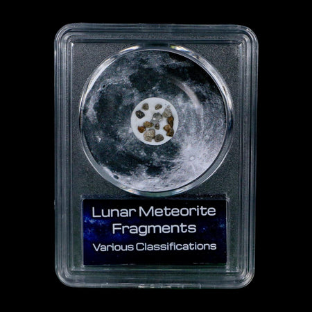 Moon Rock Lunar Meteorite Fragments Various Classifications Outer Space COA