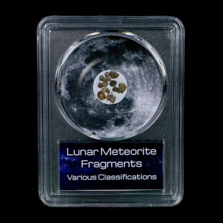 Moon Rock Lunar Meteorite Fragments Various Classifications Outer Space COA