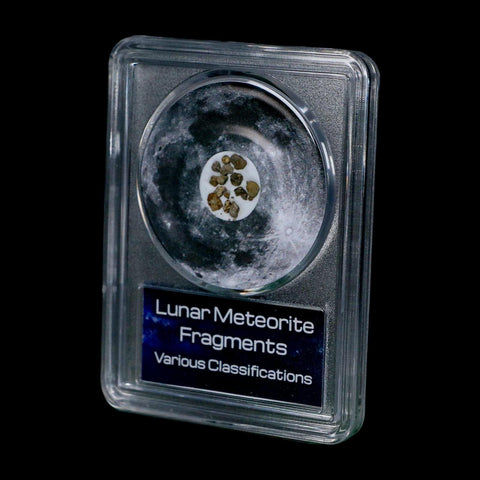 Moon Rock Lunar Meteorite Fragments Various Classifications Outer Space COA