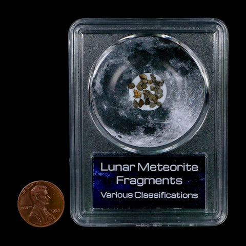 Moon Rock Lunar Meteorite Fragments Various Classifications Outer Space COA