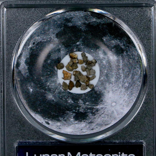 Moon Rock Lunar Meteorite Fragments Various Classifications Outer Space COA