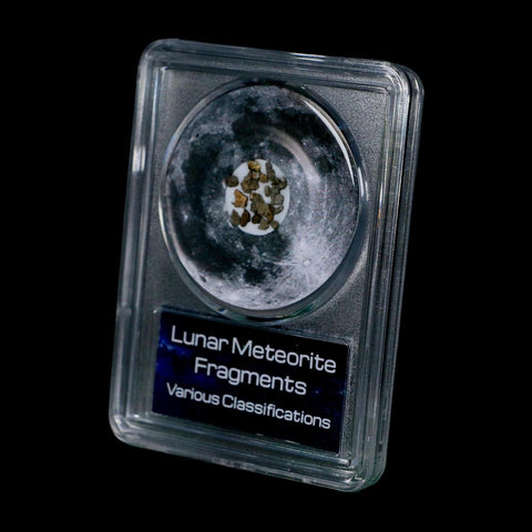 Moon Rock Lunar Meteorite Fragments Various Classifications Outer Space COA