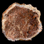 6.1" Rough Amethyst Geode Crystal Cluster Mineral Specimen Morocco