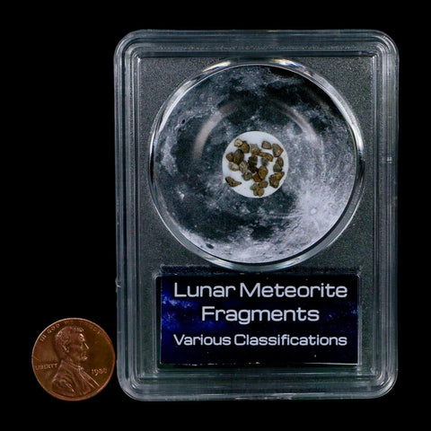 Moon Rock Lunar Meteorite Fragments Various Classifications Outer Space COA