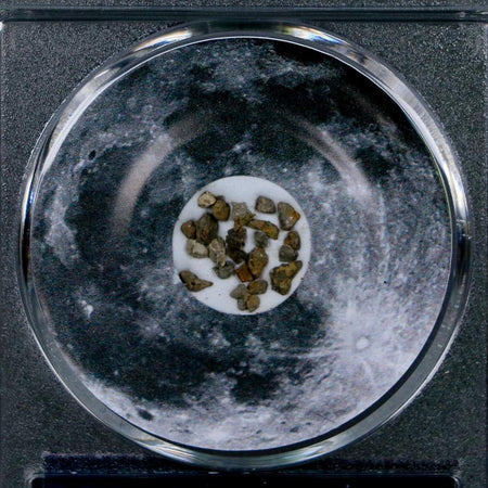 Moon Rock Lunar Meteorite Fragments Various Classifications Outer Space COA