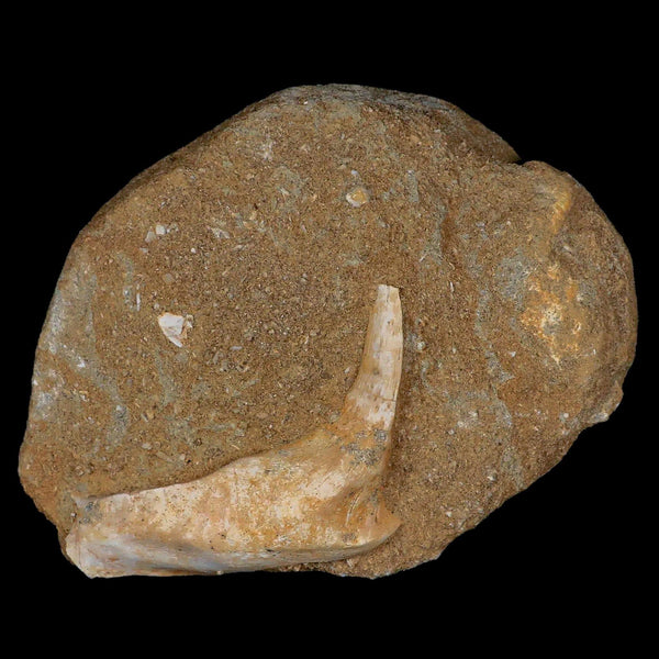 2.6