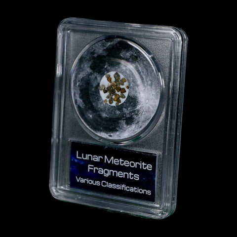 Moon Rock Lunar Meteorite Fragments Various Classifications Outer Space COA