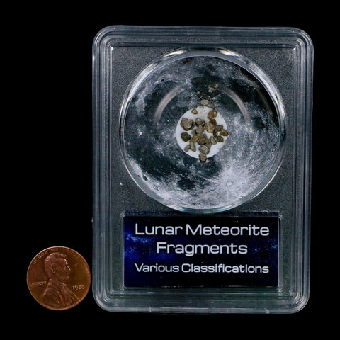 Moon Rock Lunar Meteorite Fragments Various Classifications Outer Space COA