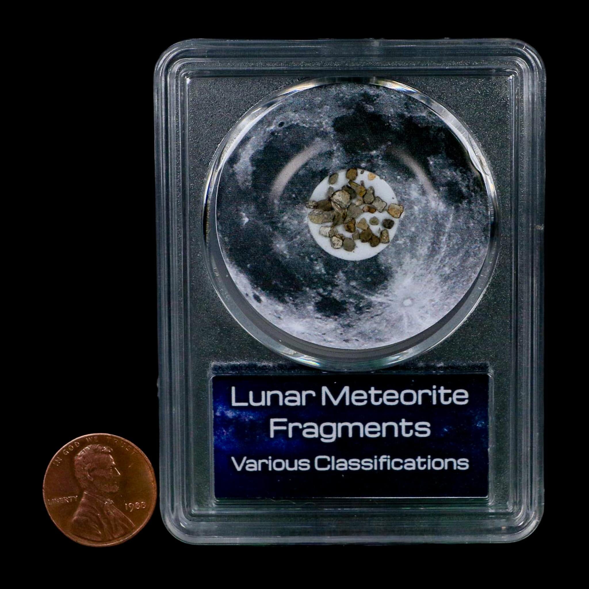 Moon Rock Lunar Meteorite Fragments Various Classifications Outer Space COA - Fossil Age Minerals