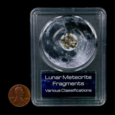 Moon Rock Lunar Meteorite Fragments Various Classifications Outer Space COA