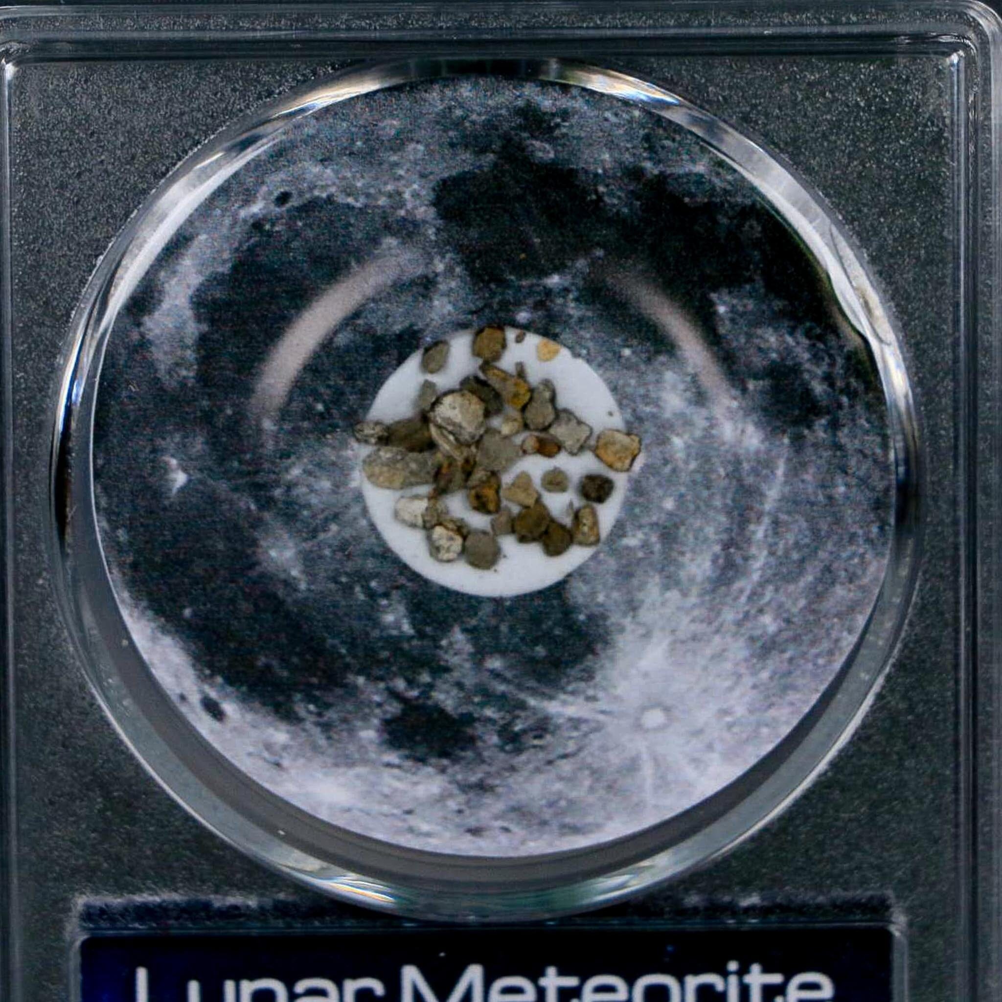 Moon Rock Lunar Meteorite Fragments Various Classifications Outer Space COA - Fossil Age Minerals