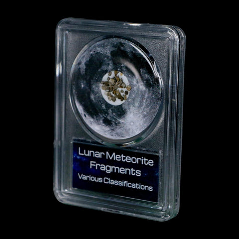 Moon Rock Lunar Meteorite Fragments Various Classifications Outer Space COA