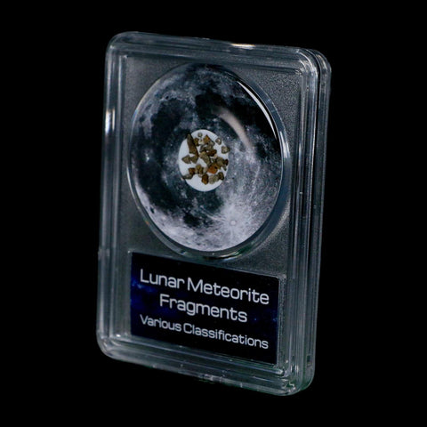 Moon Rock Lunar Meteorite Fragments Various Classifications Outer Space COA