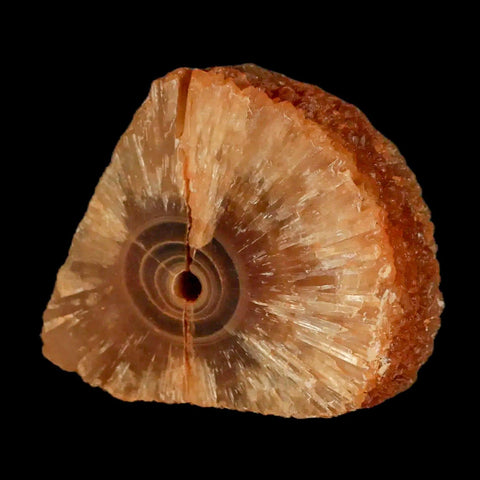 2.1" Natural Cut Rough Cave Honey Calcite Crystal Mineral Specimen Morocco - Fossil Age Minerals