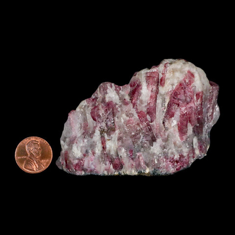 3.4" Natural Rough Pink Tourmaline on Crystal Quartz Mineral Specimen Brazil - Fossil Age Minerals