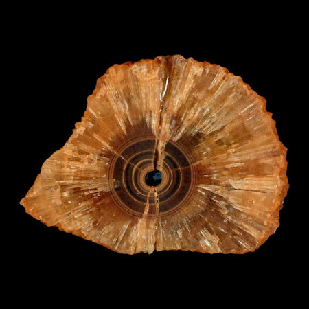 2.9" Natural Cut Rough Cave Honey Calcite Crystal Mineral Specimen Morocco