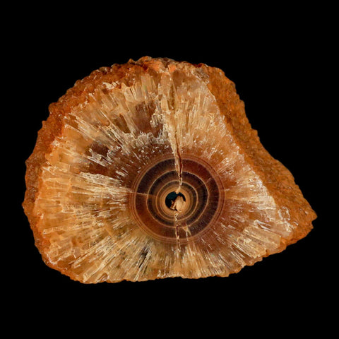 2.9" Natural Cut Rough Cave Honey Calcite Crystal Mineral Specimen Morocco - Fossil Age Minerals