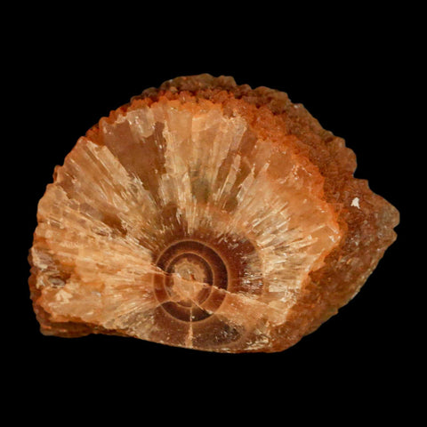 2.4" Natural Cut Rough Cave Honey Calcite Crystal Mineral Specimen Morocco - Fossil Age Minerals