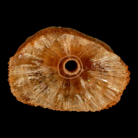 1.6" Natural Cut Rough Cave Honey Calcite Crystal Mineral Specimen Morocco