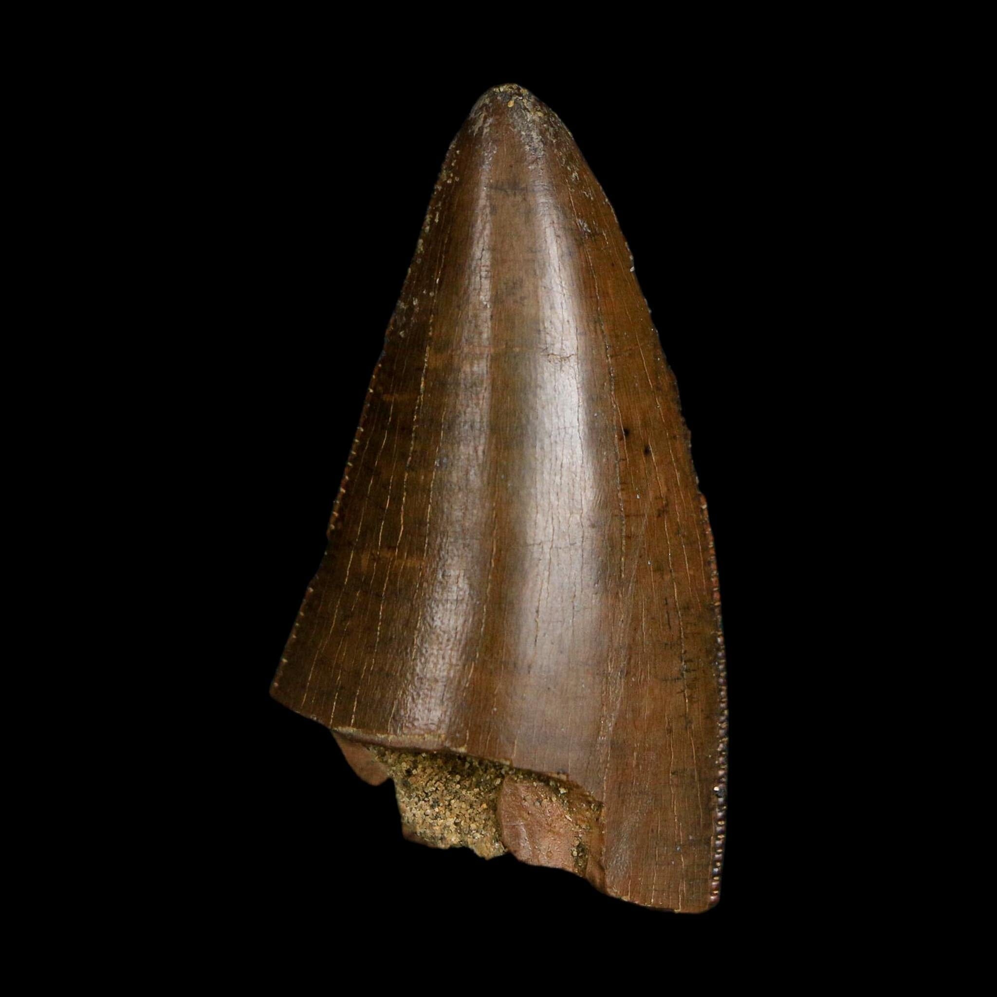 1.6