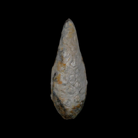 XL 2.1" Fossil Pine Cone Equicalastrobus Replaced By Agate Eocene Age Seeds Fruit